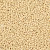 MIYUKI Round Rocailles Beads X-SEED-G007-RR0493-2
