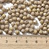 Picasso Baking Paint Glass Seed Beads SEED-A032-02A-21-4