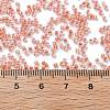 Transparent Inside Colours Glass Seed Beads SEED-H003-04G-4