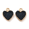 Resin with Golden Zinc Alloy Charms RESI-CJC0009-04E-1
