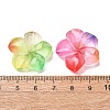 Multicolor Transparent Resin Cabochons RE-CBA0EC6-01-3