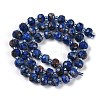 Natural Sesame Jasper Dyed Beads Strands G-H057-A21-04-3