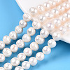 Natural Cultured Freshwater Pearl Beads Strands PEAR-N013-17N-01-1