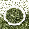 Picasso Baking Paint Glass Seed Beads SEED-N007-37H-2