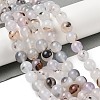 Natural Dendritic Agate Beads Strands G-A248-A07-04-1