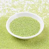 MIYUKI Round Rocailles Beads X-SEED-G007-RR0172-2