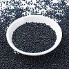 MIYUKI Round Rocailles Beads X-SEED-G007-RR0452-2