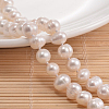 Natural Pearl Beads Necklace NJEW-P126-A-06-3