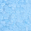 FGB Frosted Transparent Glass Seed Beads SEED-N013-06A-11-3