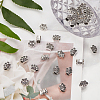 Zinc Alloy European Beads MPDL-PH0001-09AS-3
