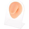 Soft Silicone Tongue Flexible Model Body Part Displays with Acrylic Stands ODIS-WH0002-23-1