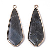 Natural Labradorite Pendants G-S359-108A-2