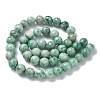 Natural Green Spot Jasper Beads Strands G-L651-A01-8mm-3