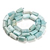 Natural Amazonite Beads Strands G-G068-A35-01-3