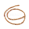 Natural Freshwater Shell Dyed Beads Strands X-SHEL-M018-11-11-2
