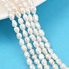 Natural Cultured Freshwater Pearl Beads Strands PEAR-P064-20G-03A-1