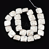 Plating Natural Freshwater Shell Beads Strands SHEL-N026-230B-2