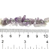 Natural New Jade & Amethyst Beads Strands G-L610-A21-01-5