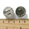 Natural Peace Jade Round Ball Figurines Statues for Home Office Desktop Decoration G-P532-02A-14-3