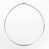 Non-Tarnish 304 Stainless Steel Necklaces NJEW-D274-02P-1