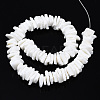 Natural White Shell Beads Strands SSHEL-S266-029-2