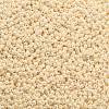 TOHO Round Seed Beads SEED-JPTR11-0123-2