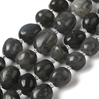 Natural Larvikite Beads Strands G-Q169-E05-01-1