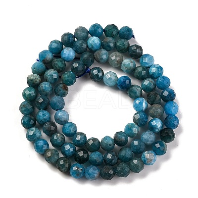 Natural Apatite Beads Strands G-F770-C02-02-1