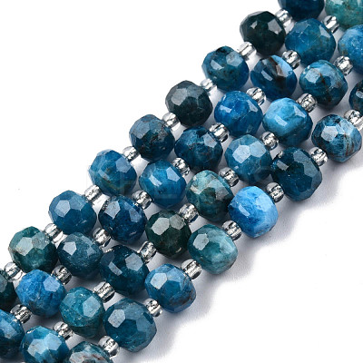Natural Apatite Beads Strands G-N327-08D-1