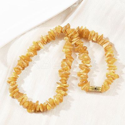 Natural Amber Chip Beaded Necklaces NJEW-L466-03C-1