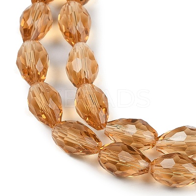 Transparent Glass Beads Strands LS-EGLA-N013-T10mm-D21-1