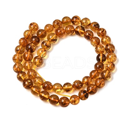 Natural Amber Beads Strands G-K376-H02-02-1