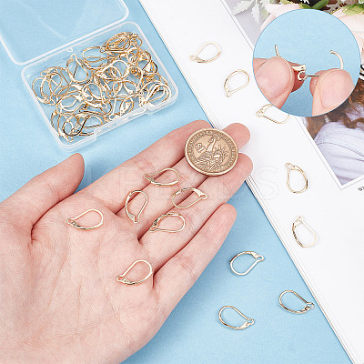 60Pcs 304 Stainless Steel Leverback Earring Findings STAS-SC0004-61-1