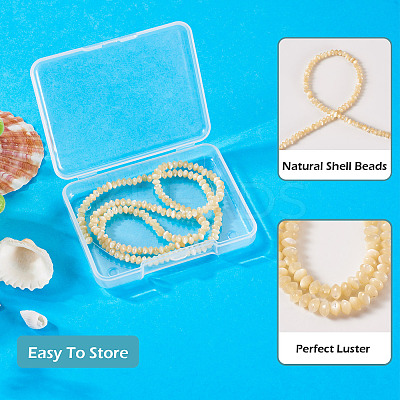 1 Strand Natural Trochus Shell Rondelle Beads Strands SSHEL-TA0001-16B-1
