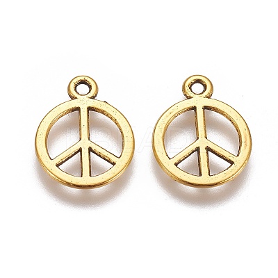 Tibetan Style Alloy Charms LS-GLF11179Y-1