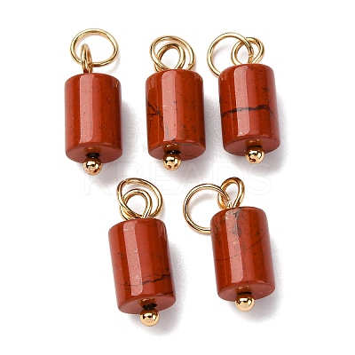 Natural Red Jasper Column Charms with 304 Stainless Steel Jump Rings G-Q032-01C-1