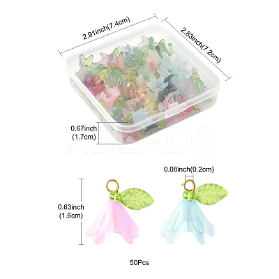 50Pcs Transparent Acrylic Pendants PALLOY-FS00043-02-1