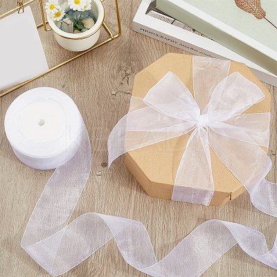 1 Rolls Sheer Organza Ribbon SRIB-CY0001-22C-10-1