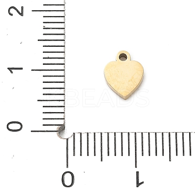 304 Stainless Steel Charms SA-CBA2C9D-02G-1