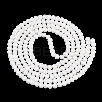 Baking Paint Glass Pearl Beads Strands LS-DGLA-ZX001-05B-01-1