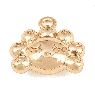 304 Stainless Steel Charms SA-CBA4377-02B-G-1