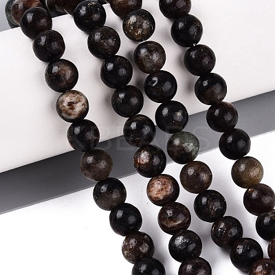 Natural Biotite Beads Strands G-Q616-01C-1