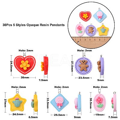 30Pcs 5 Styles Opaque Resin Pendants RESI-CJ0002-30-1