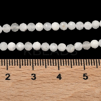 Natural Rainbow Moonstone Beads Strands G-B168-A11-3mm-1