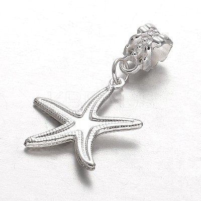 Alloy European Dangle Charms LS-MPDL-E045-10-1