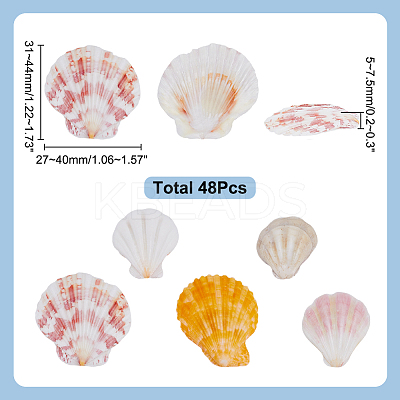 48Pcs Natural Shell Crafts DJEW-AR0001-12-1