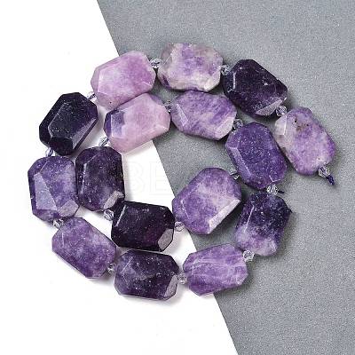 Natural Lepidolite Beads Strands G-B125-P25-01-1