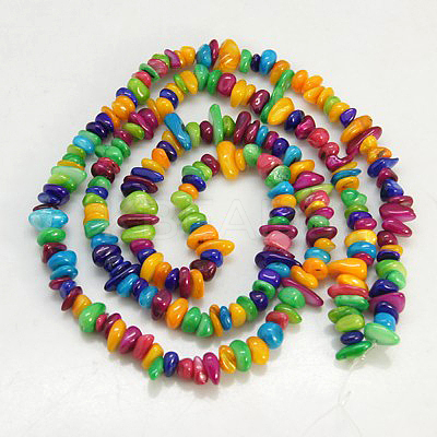 Natural Shell Beads Strands X-BSHE-D004-2-1