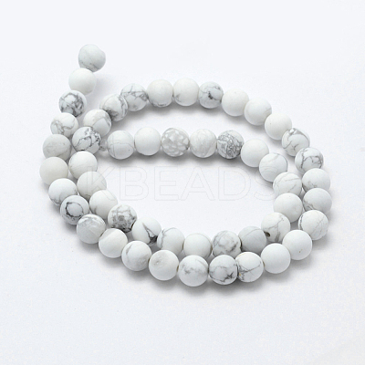 Natural Howlite Beads Strands G-F518-22-6mm-1
