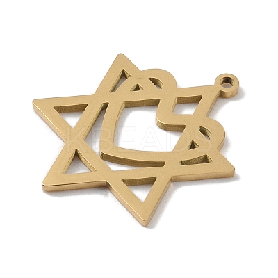 304 Stainless Steel Pendants LS-STAS-B062-19G-1
